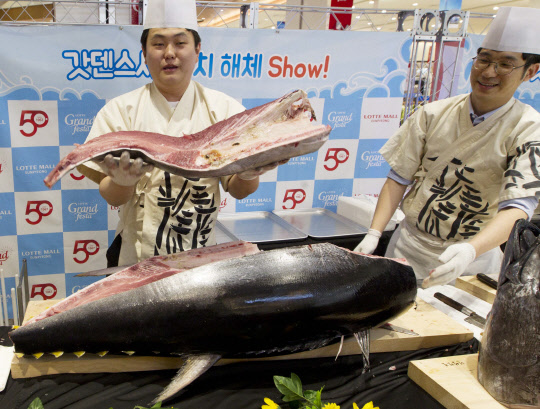 롯데자산개발은 지난 8일 서울 진관동 롯데몰 은평에서 롯데월드타워 개장을 기념해 '대형 참치 해체쇼'를 진행, 관람고객 555명에게 초밥을 제공했다. 이날 행사에서 요리사들이 대형 참치를 선보이고 있다. <롯데자산개발 제공>